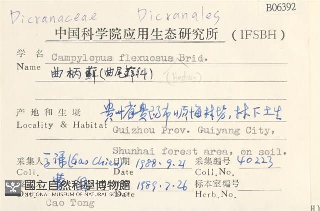 曲柄蘚藏品圖，第2張