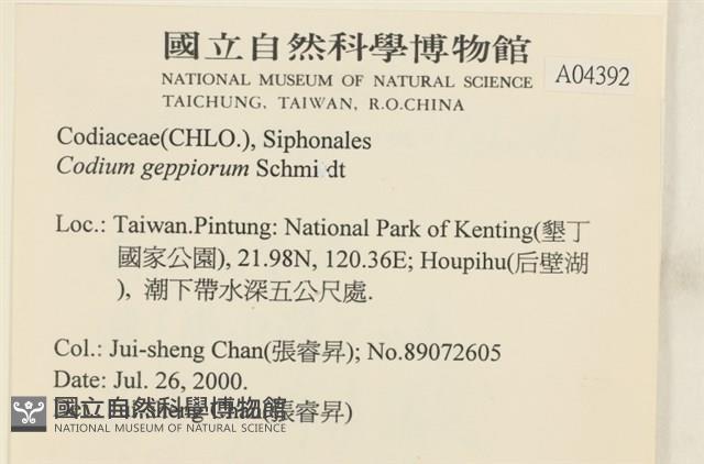 登錄號:A00004392藏品圖，第2張