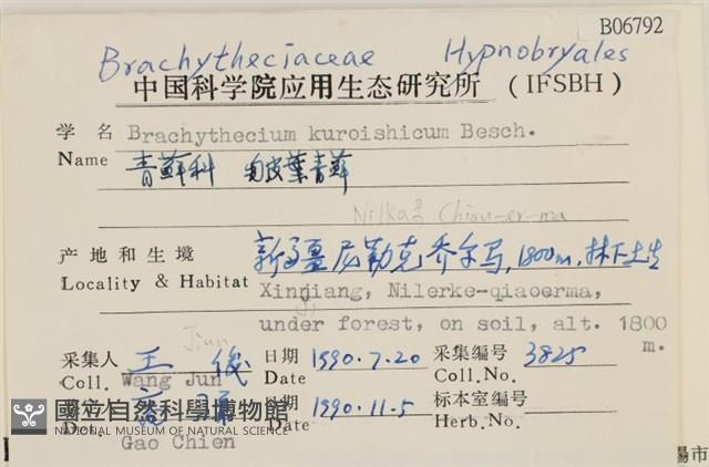 皺葉青蘚藏品圖，第2張