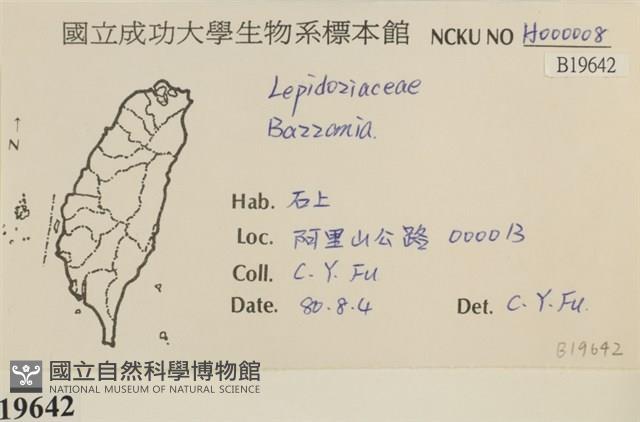 登錄號:B00019642藏品圖，第2張