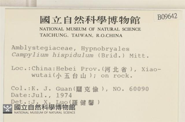 Accession Number:B00009642 Collection Image, Figure 2, Total 2 Figures