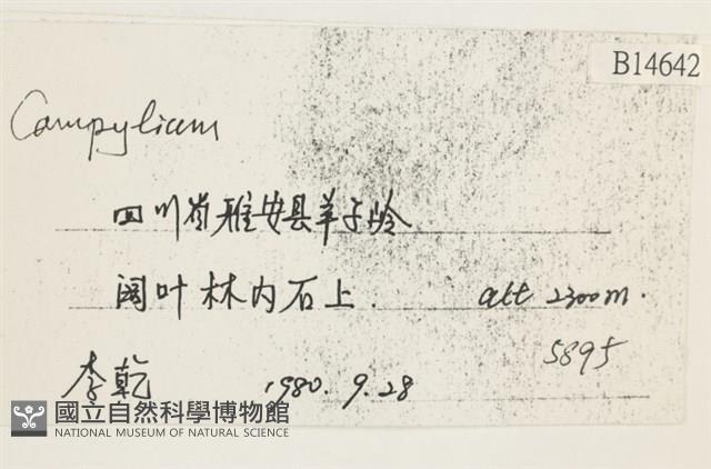 登錄號:B00014642藏品圖，第2張