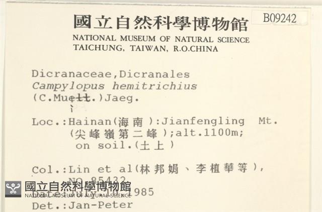 登錄號:B00009242藏品圖，第2張