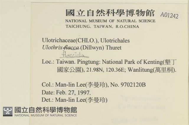登錄號:A00001242藏品圖，第2張