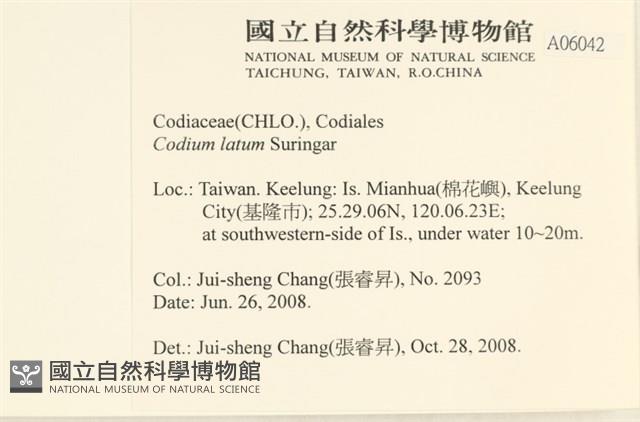 登錄號:A00006042藏品圖，第2張