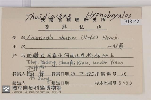 山羽蘚藏品圖，第2張