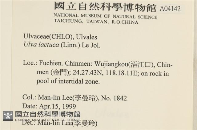 大石蓴, 石蓴藏品圖，第2張