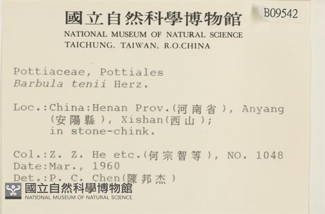 登錄號:B00009542藏品圖，第2張