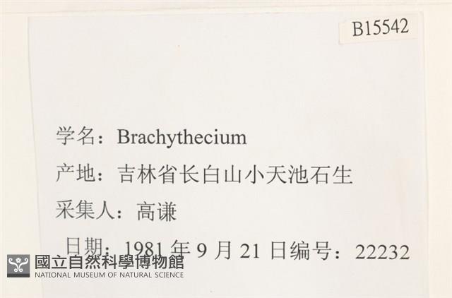 登錄號:B00015542藏品圖，第2張