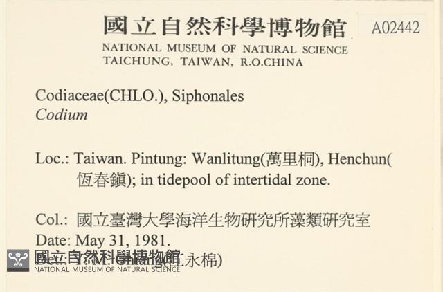 登錄號:A00002442藏品圖，第2張