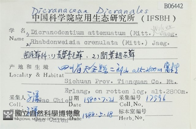 長葉青毛蘚藏品圖，第2張