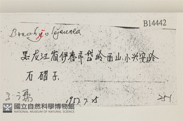 登錄號:B00014442藏品圖，第2張