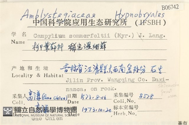 稀齒細濕蘚藏品圖，第2張