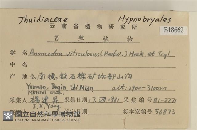 登錄號:B00018662藏品圖，第2張