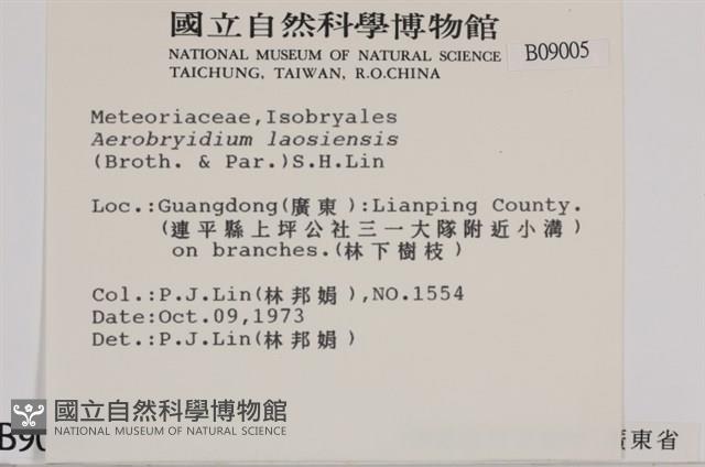毛扭蘚藏品圖，第2張
