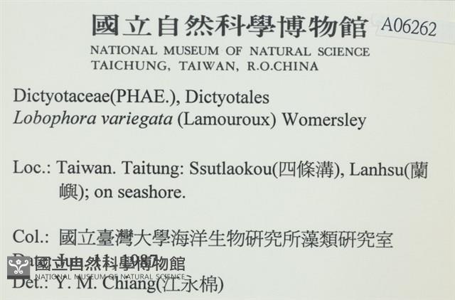 登錄號:A00006262藏品圖，第2張