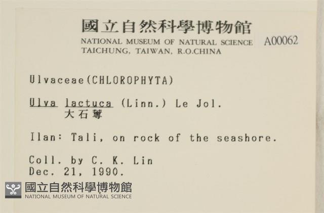 大石蓴, 石蓴藏品圖，第2張