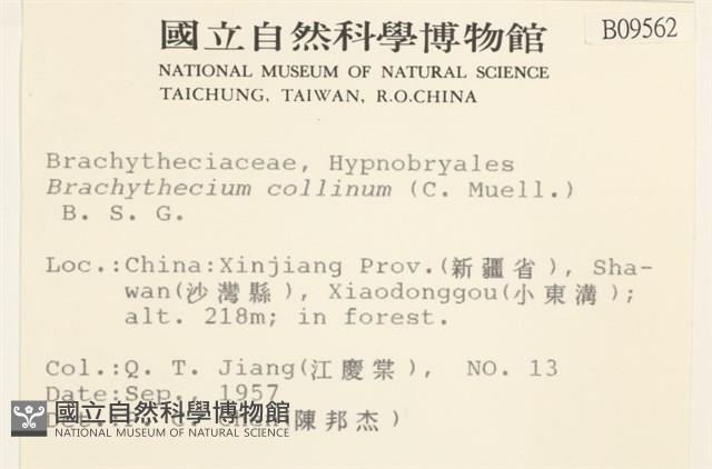 登錄號:B00009562藏品圖，第2張