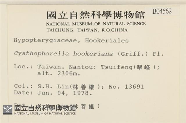 登錄號:B00004562藏品圖，第2張