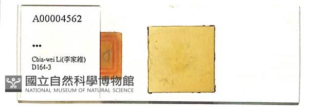 登錄號:A00004562藏品圖，第1張