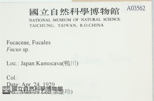 登錄號:A00003562藏品圖，第2張