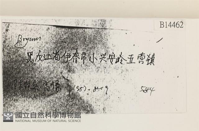 登錄號:B00014462藏品圖，第2張