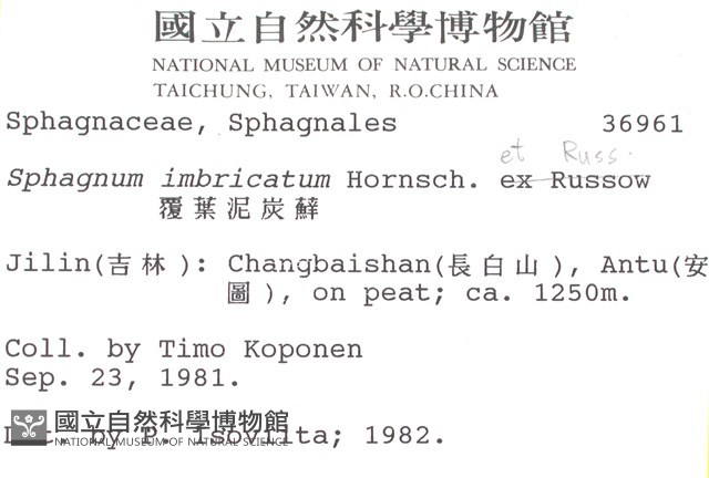 覆葉泥炭蘚, 毛壁泥炭蘚藏品圖，第2張