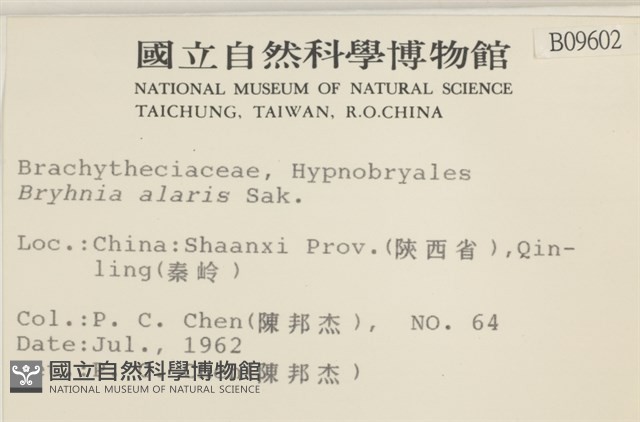 登錄號:B00009602藏品圖，第2張