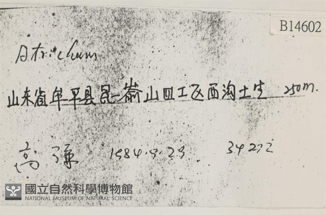 登錄號:B00014602藏品圖，第2張