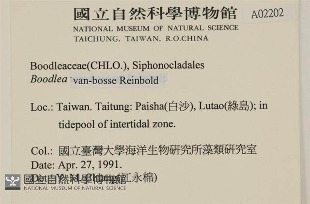 登錄號:A00002202藏品圖，第2張