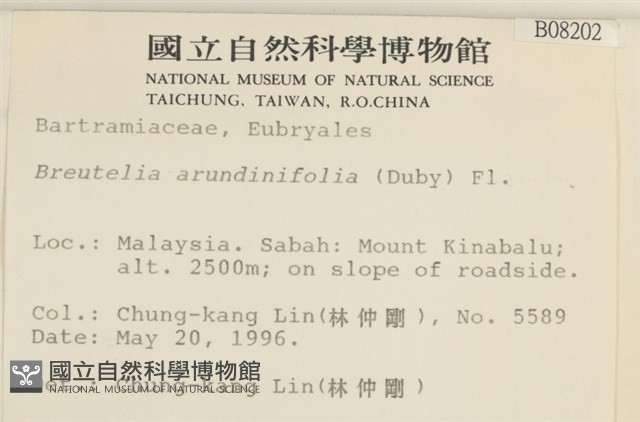 大熱澤蘚藏品圖，第2張