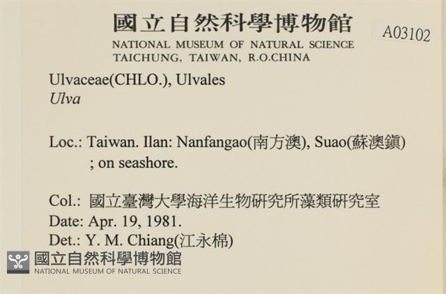 登錄號:A00003102藏品圖，第2張