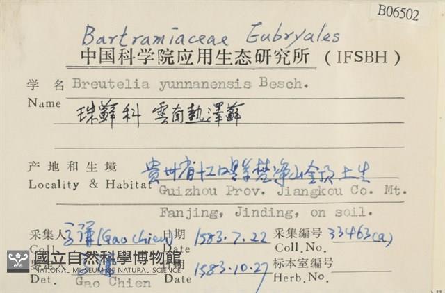 雲南熱澤蘚藏品圖，第2張