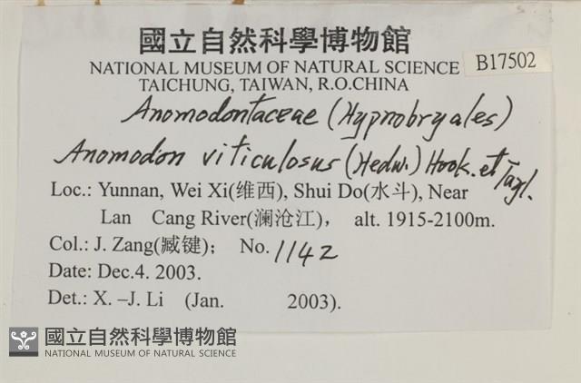 登錄號:B00017502藏品圖，第2張