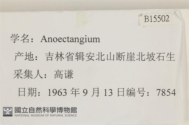 登錄號:B00015502藏品圖，第2張