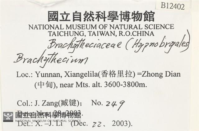 登錄號:B00012402藏品圖，第2張