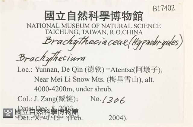 登錄號:B00017402藏品圖，第2張