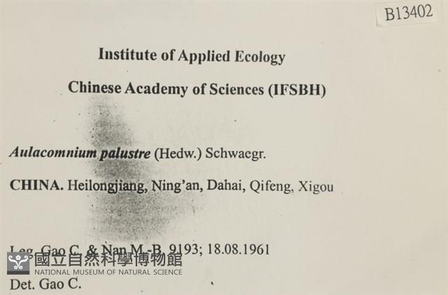 沼澤皺蒴蘚藏品圖，第2張