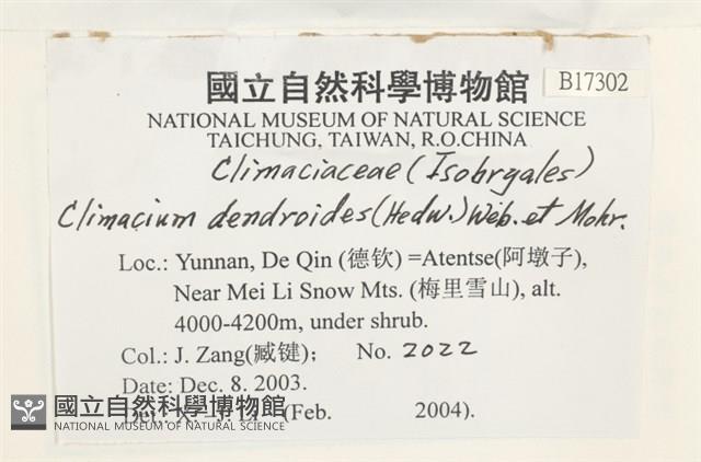 登錄號:B00017302藏品圖，第2張
