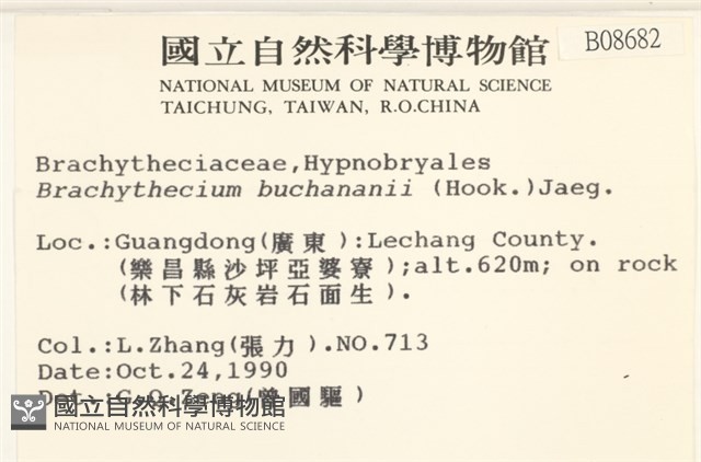 細枝青蘚藏品圖，第2張