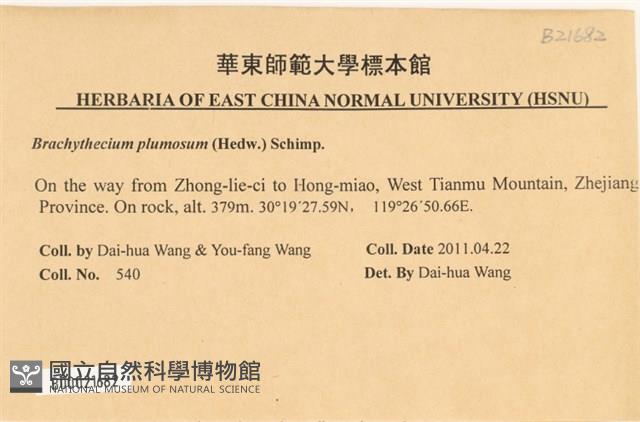羽枝青蘚藏品圖，第2張
