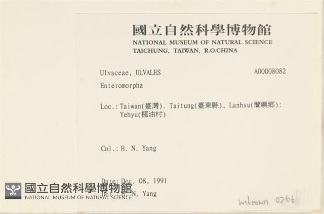 登錄號:A00008082藏品圖，第2張