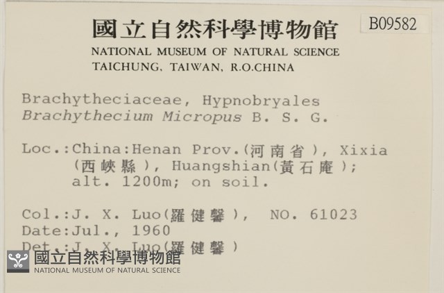 登錄號:B00009582藏品圖，第2張