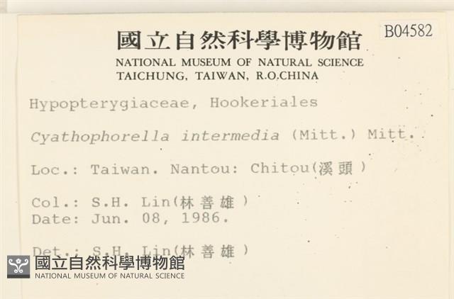 登錄號:B00004582藏品圖，第2張