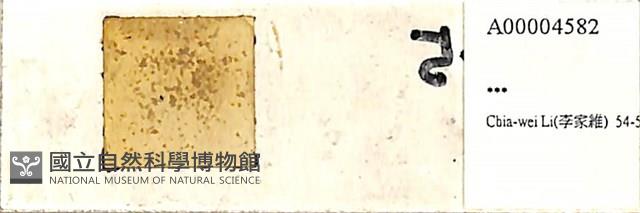登錄號:A00004582藏品圖，第1張