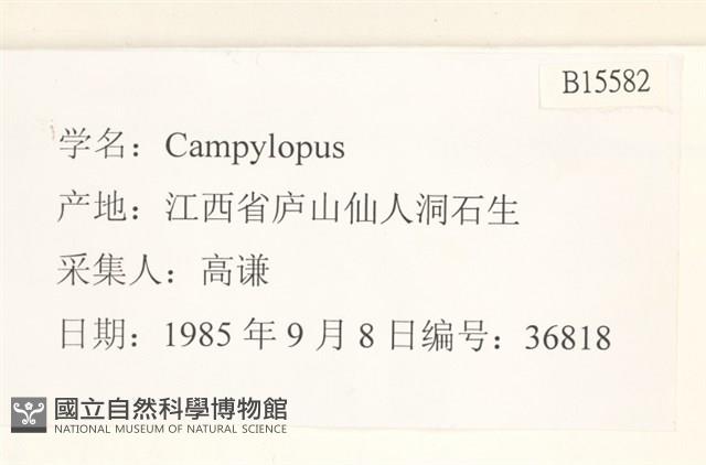登錄號:B00015582藏品圖，第2張