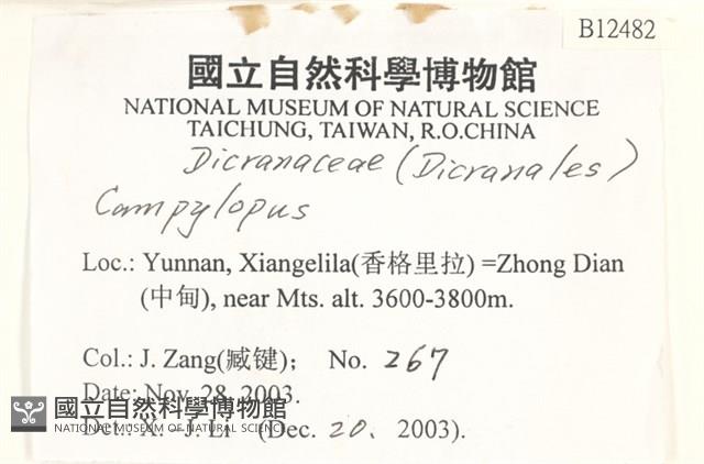 登錄號:B00012482藏品圖，第2張