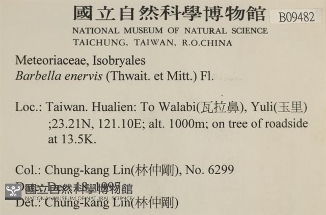 登錄號:B00009482藏品圖，第2張