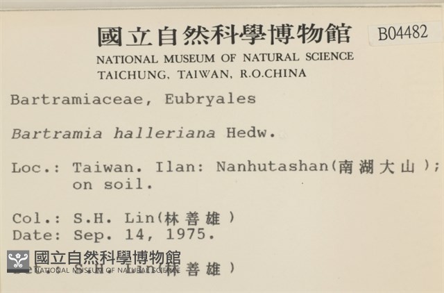 登錄號:B00004482藏品圖，第2張