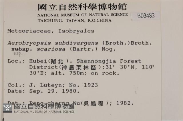 登錄號:B00003482藏品圖，第2張